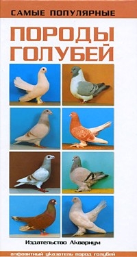 Самые популярные породы голубей
