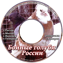 Бойные голуби России